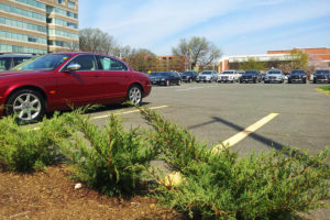 Parking lot at 3901 N. Fairfax Drive