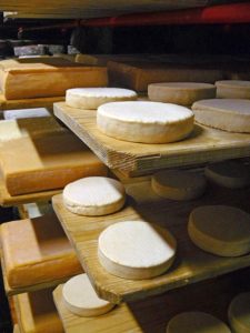 Various washed Rinds (photo by Katie Carter)