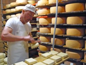 Cheese washing (photo by Katie Carter)